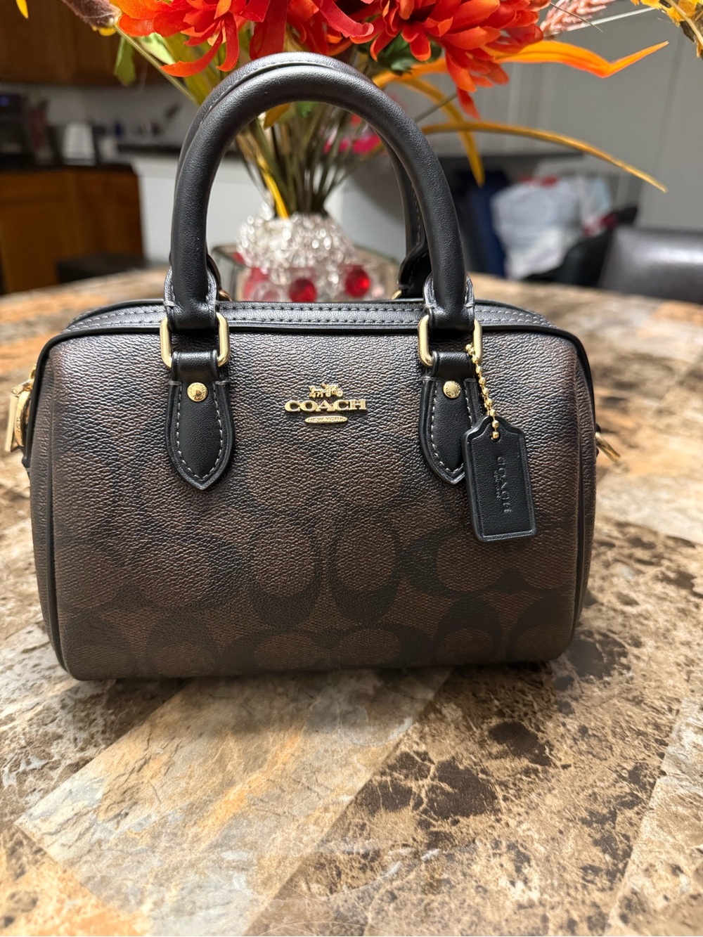 Coach Mini Satchel in Brown and Black